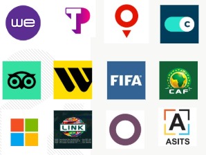 Mahmoud Ali A. Elsayed - Experience Highlights